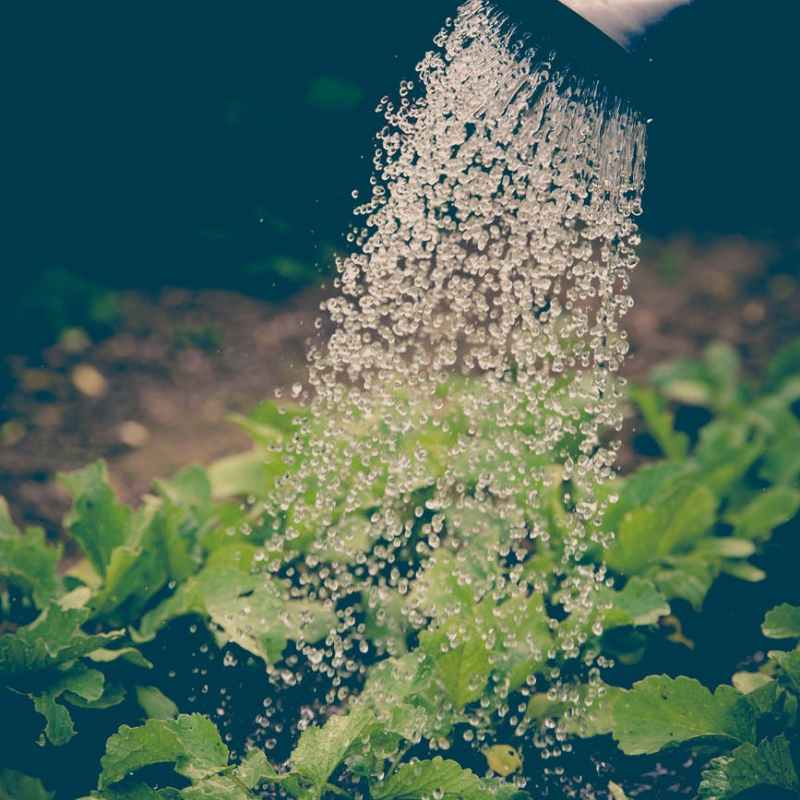 PSB – wie anwenden?